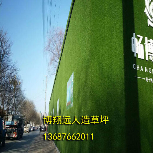扬州钢架挡墙塑料草坪，绿色草皮围墙照片
