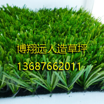 仿真草皮地毯,廣州傲勝人造草坪,大量現貨