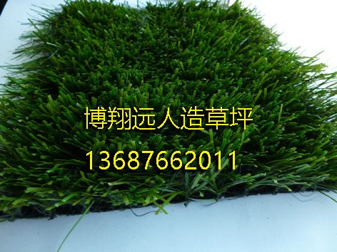 黄骅经济总量_世界经济总量图片(3)