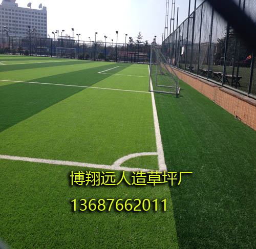 建足球场哪块地皮便宜,建足球场哪块地皮便宜些