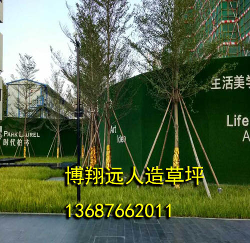 兴义建筑工地围挡草坪,仿真草坪墙怎么样按装