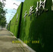 南京绿植围挡生产加工厂