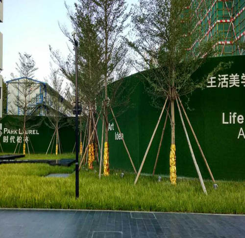 舞阳县做墙面可以用塑料草坪吗