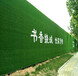 澧县仿真草坪墙立体字多少钱每平方米