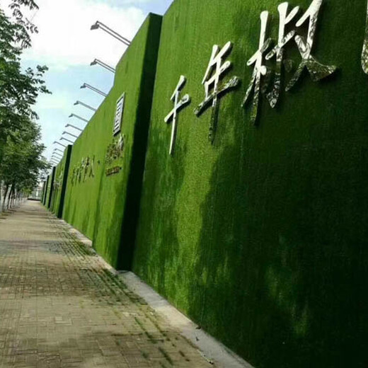 辰溪县假草坪装墙壁图片多少钱一平,根据什么来判断