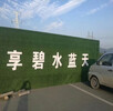 金华绿植草皮墙销售厂家