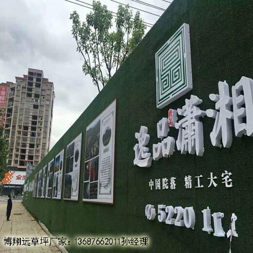 金华市义乌市墙面装饰草坪案例欣赏