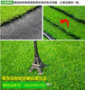 5.5厘米深圳足球場人造草坪
