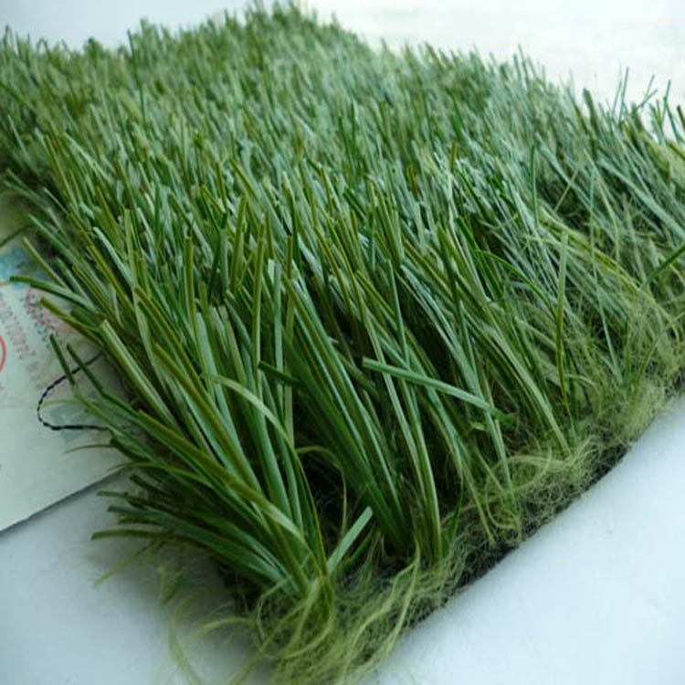塑料人工草坪每平米价格是多少