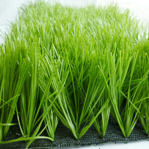塑料仿草坪每平米造价