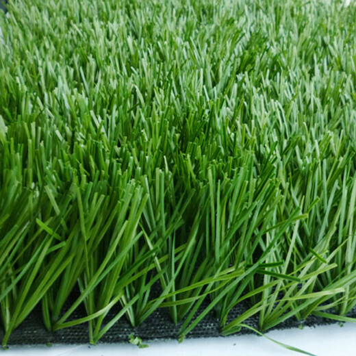 塑料的草坪多少钱一平方米