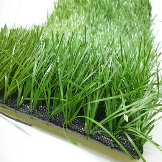 绿化草坪塑料分隔带