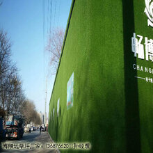 工程围挡绿草皮造价是多少图片