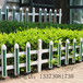 河北厂家pvc塑钢护栏、庭院pvc护栏、绿化防盗pvc护栏