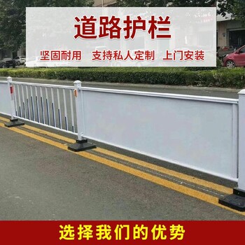 河北市政道路护栏/亚荣星道路隔离护栏厂家