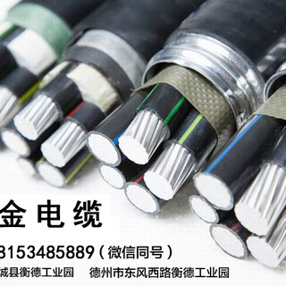 铝合金电缆厂家生产国标YJLHV保检图片2
