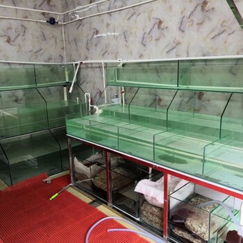 餐廳海鮮魚池餐廳海鮮魚池價格_餐廳海鮮魚池定做