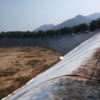 阜新土工布規(guī)格、定做-博一化纖