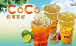 Coco都可奶茶加盟图片4