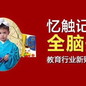 我想开一家忆触记发全脑开发需要多少钱