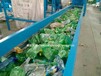 厂家供应新型塑料瓶、可乐瓶、矿泉水瓶剥去标签机器