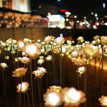 夏日梦幻灯光节点景区亮夜经济