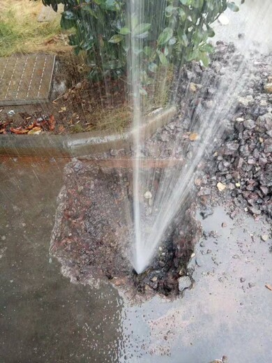 台州地下自来水漏水点定位检测公司