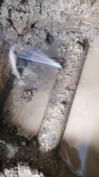吴兴区地下管道漏水检测检测服务