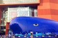 五一活动鲸鱼岛百万海洋球主题乐园出租出售租赁暖场法宝