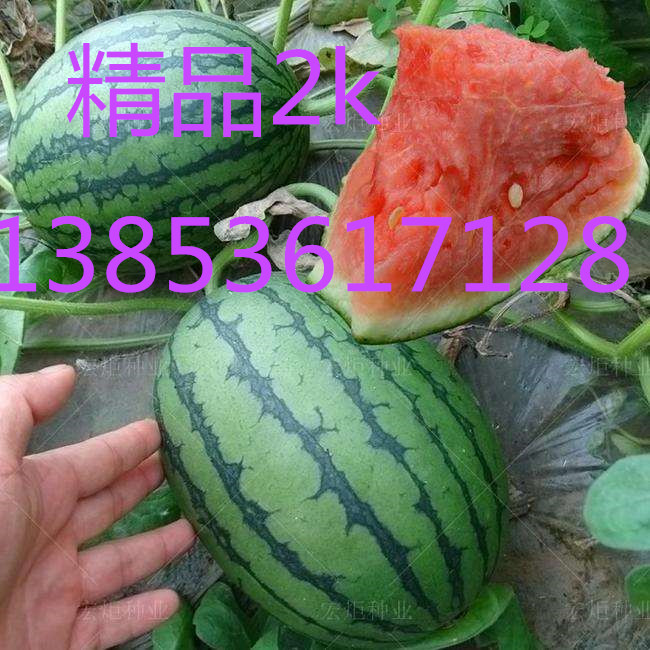潍坊市寒亭区刘静果蔬种植专业合作社