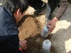  Soil test - organic fertilizer test - Dingtai test