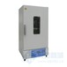 新苗干燥箱电热恒温鼓风干燥箱DHG-9073BS-Ⅲ