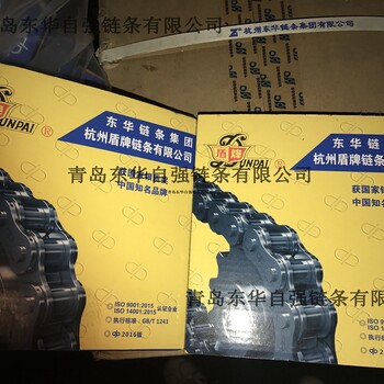 东华链条济南经销商批发输送链条-平项输送链、上料输送链