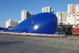 平顶山蓝鲸大型鲸鱼岛海洋球出租海洋球租赁