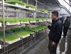 芽苗菜种植设备芽苗菜机械全自动芽苗菜机厂家