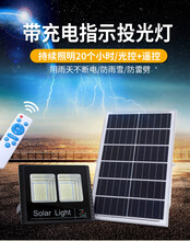 厂家直销佐莱太阳能路灯公司佐莱太阳能路灯投光灯图片