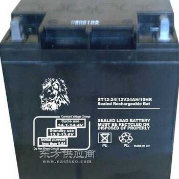 金狮蓄电池ST12-24铅酸免维护12V24AH正机房UPS后备电瓶