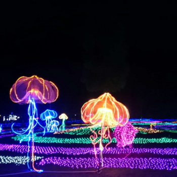 燈光節(jié)廠家展覽燈光展覽主題LED燈光藝術(shù)節(jié)