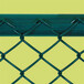 安平县厂家销售绿色勾花网镀锌勾花网包塑装饰勾花网