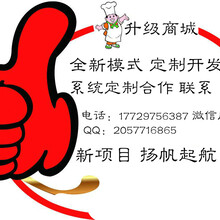 郑州商城类系统定制开发拼单商城升级促销商城合作开发