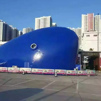 商业鲸鱼岛出租海洋球租赁各种气模出售鲸鱼岛乐园租赁
