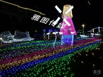 2018石家庄灯光节升级灯光视觉盛宴图片1