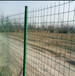 内蒙古包头护栏网网围栏绿色浸塑荷兰网现货供应