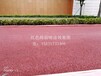 浙江省绍兴市绍兴县小区绿化工程沥青路面改色喷涂彩色路面喷涂