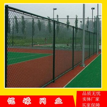 热浸塑球场栏杆运动场铁围栏笼式体育场围栏