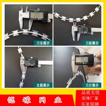 刺丝滚笼防护围栏网刺丝滚笼防护栅栏厂家