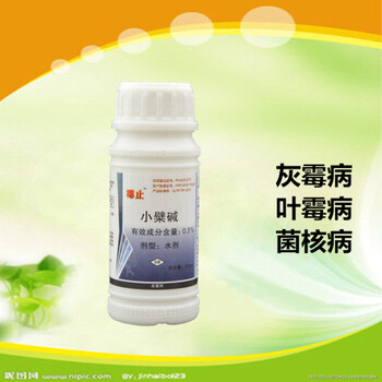 山東濰坊草莓灰霉病生物制劑霉止廠家批發(fā)