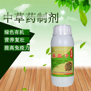 揭秘生姜姜瘟病殺菌劑姜瘟凈廠家批發(fā)