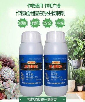 噓！看這里我來告訴您早春蘋果腐爛病的治療秘訣