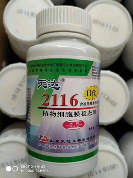 設(shè)施蔬菜御寒措施如何提高作物的抗寒性